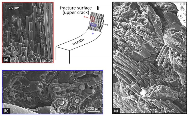 Fatigue crack growth in 3-D non-woven carbon-carbon composites follows the fibers causing crack bridging and fiber pullout.  These are primary toughening mechanisms in composite materials. (“Damage tolerance of carbon-carbon composites in aerospace application” Carbon [126] 382-393 (2018) P. Chowdhury, H. Sehitoglu, R. Rateick).